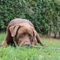IMG_6564.JPG