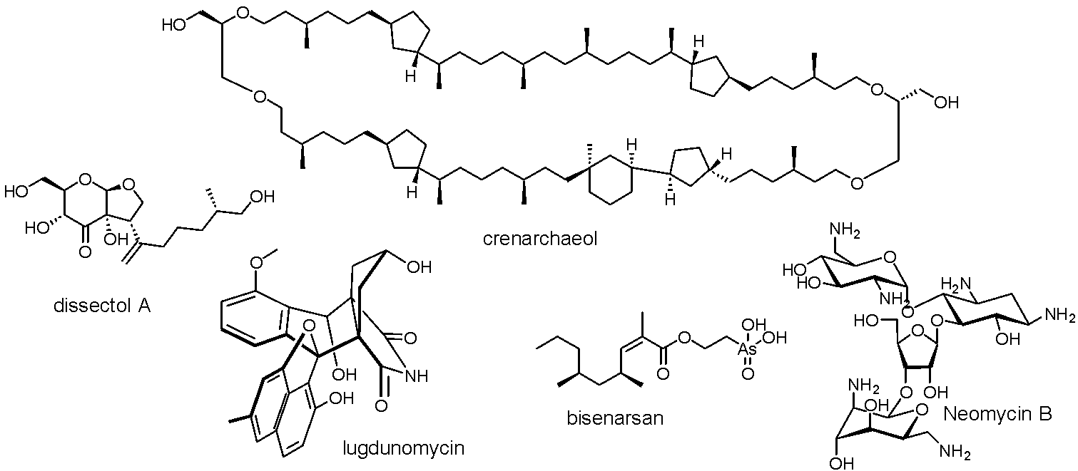 2026-09-24_20-30-52