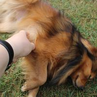IMG_6556.JPG