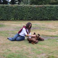 IMG_7325.JPG